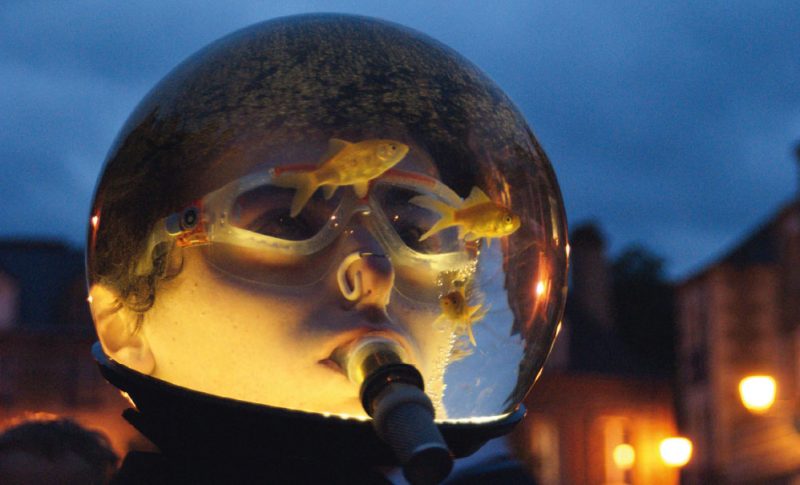 Festifolies