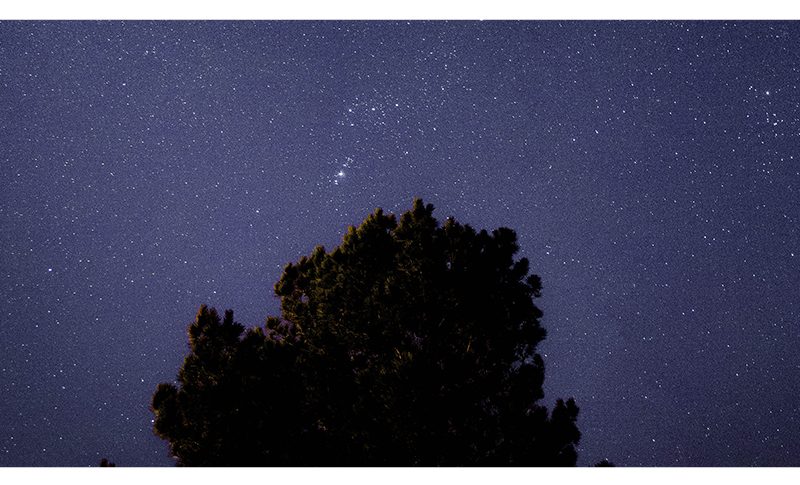 Nuits féériques
